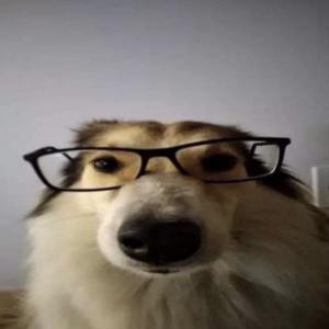 Hgdty