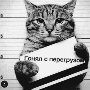 Павел Салогубов