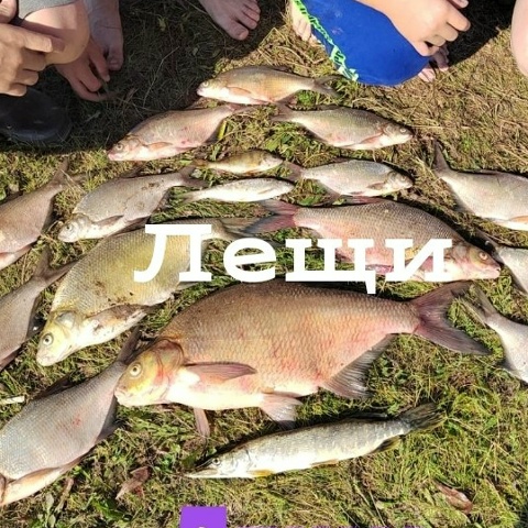 Ярослав Уткин