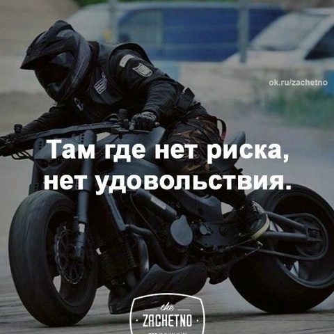 Саша Александр